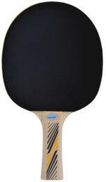 REKET ZA STOLNI TENIS DONIC SCHILDKROT LEGENDS 300 - Slika 2